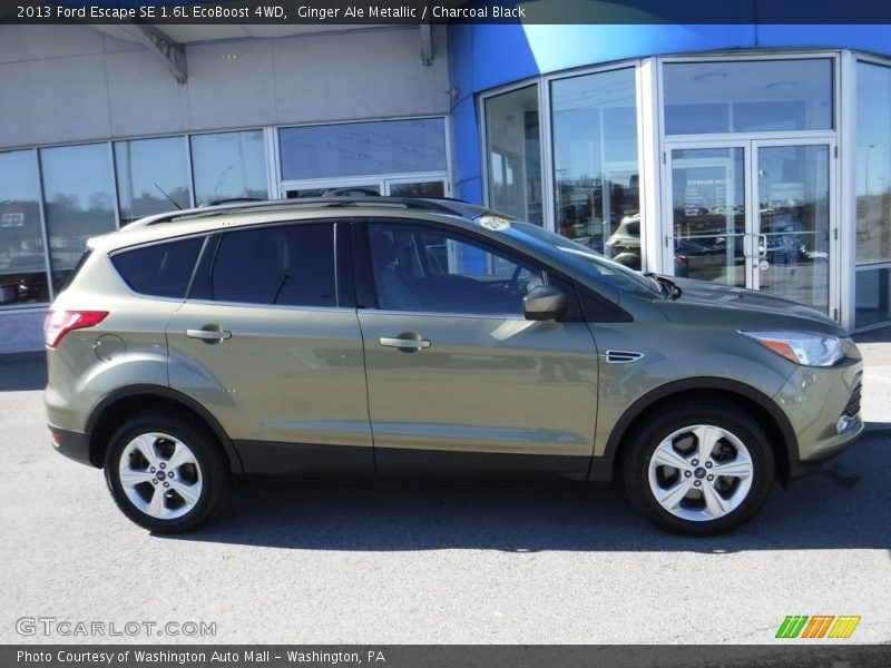 Ginger Ale Metallic / Charcoal Black 2013 Ford Escape SE 1.6L EcoBoost 4WD