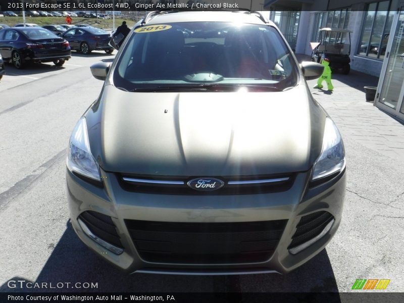 Ginger Ale Metallic / Charcoal Black 2013 Ford Escape SE 1.6L EcoBoost 4WD