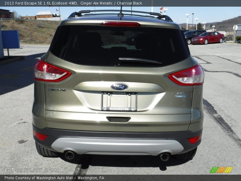 Ginger Ale Metallic / Charcoal Black 2013 Ford Escape SE 1.6L EcoBoost 4WD