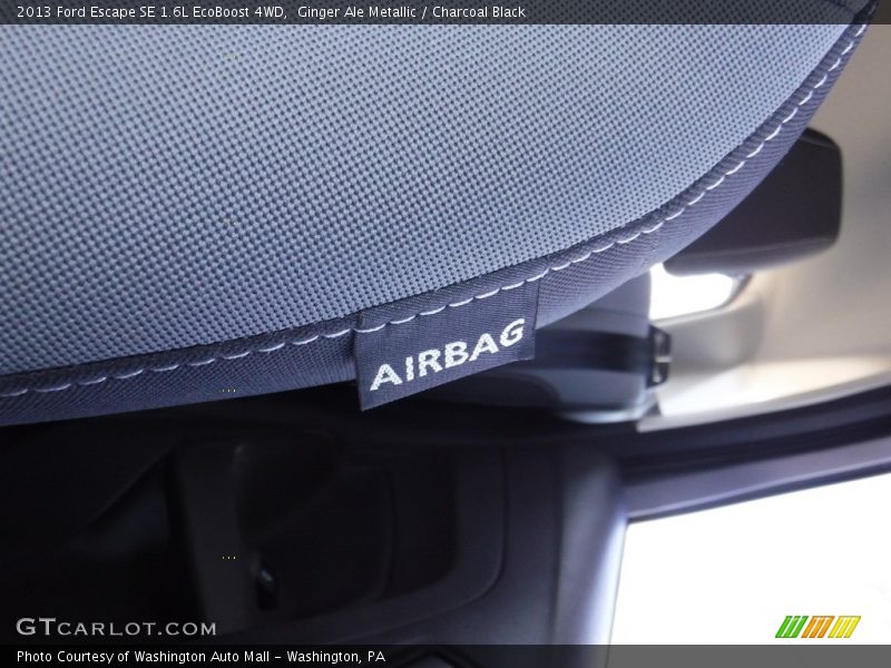 Ginger Ale Metallic / Charcoal Black 2013 Ford Escape SE 1.6L EcoBoost 4WD