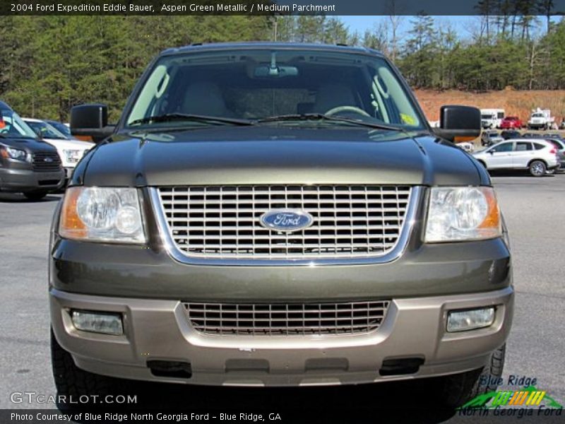 Aspen Green Metallic / Medium Parchment 2004 Ford Expedition Eddie Bauer