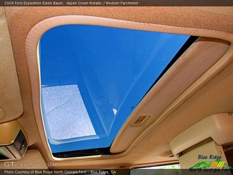 Aspen Green Metallic / Medium Parchment 2004 Ford Expedition Eddie Bauer