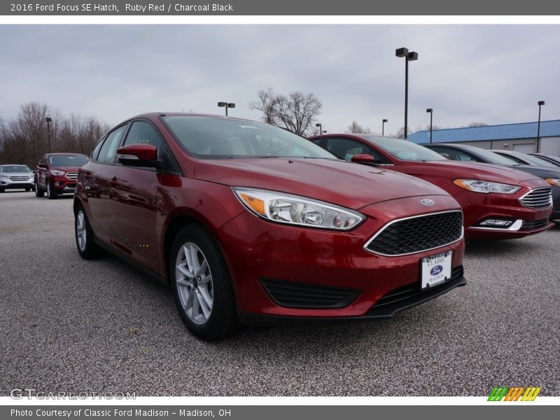 Ruby Red / Charcoal Black 2016 Ford Focus SE Hatch