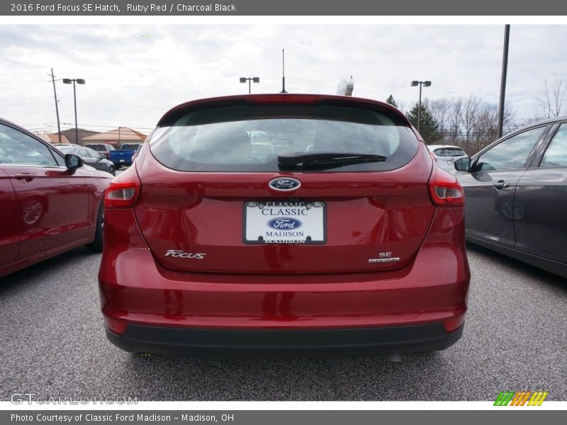 Ruby Red / Charcoal Black 2016 Ford Focus SE Hatch