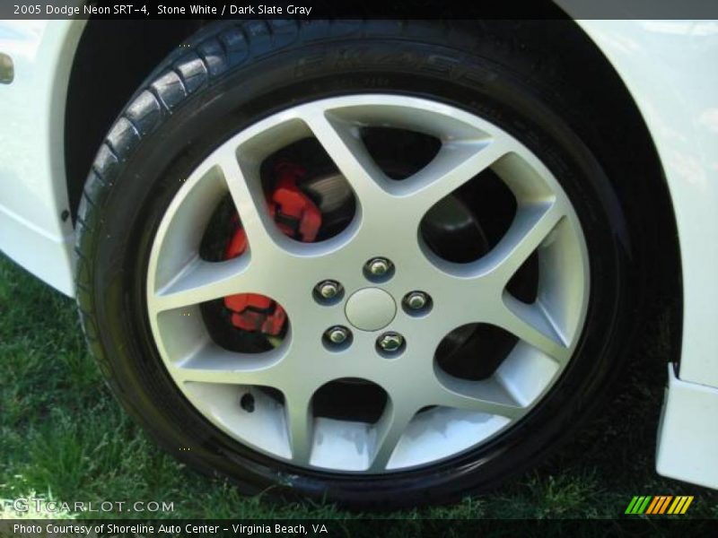 Stone White / Dark Slate Gray 2005 Dodge Neon SRT-4