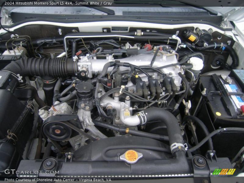 Summit White / Gray 2004 Mitsubishi Montero Sport LS 4x4