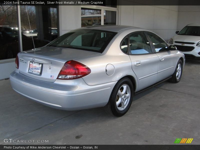 Silver Frost Metallic / Medium Graphite 2004 Ford Taurus SE Sedan