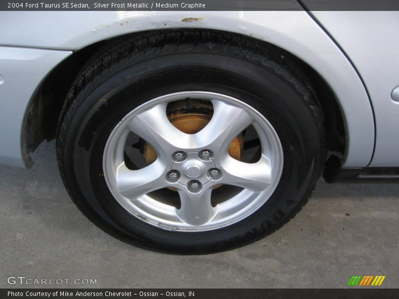 Silver Frost Metallic / Medium Graphite 2004 Ford Taurus SE Sedan