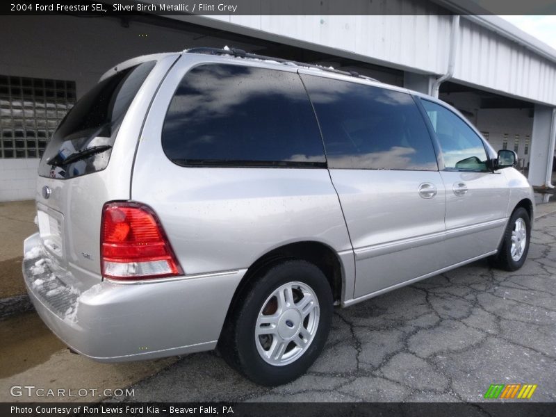 Silver Birch Metallic / Flint Grey 2004 Ford Freestar SEL