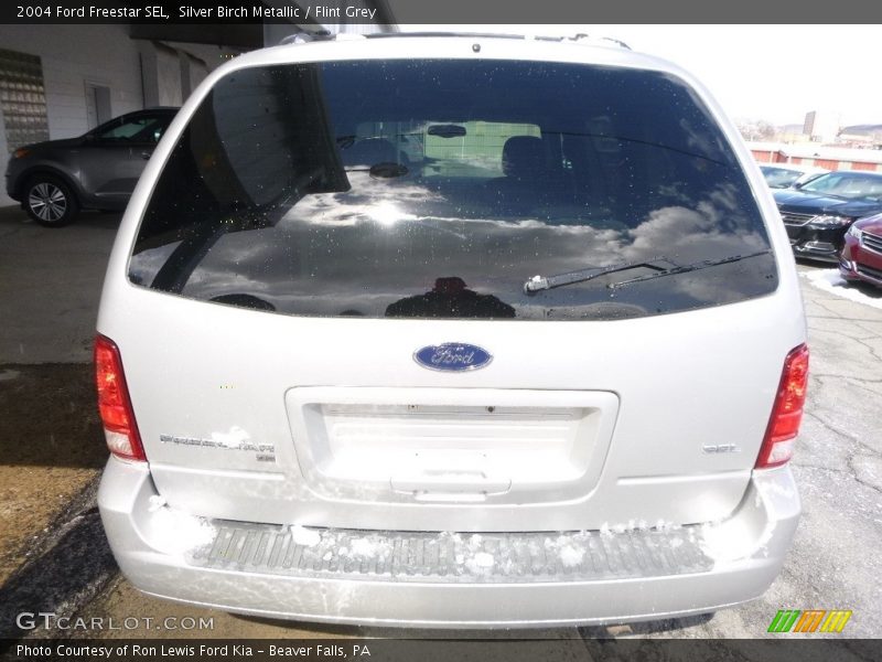 Silver Birch Metallic / Flint Grey 2004 Ford Freestar SEL