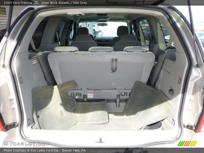 Silver Birch Metallic / Flint Grey 2004 Ford Freestar SEL