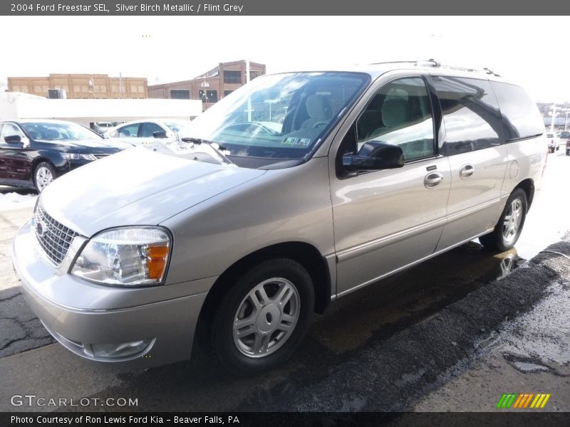 Silver Birch Metallic / Flint Grey 2004 Ford Freestar SEL