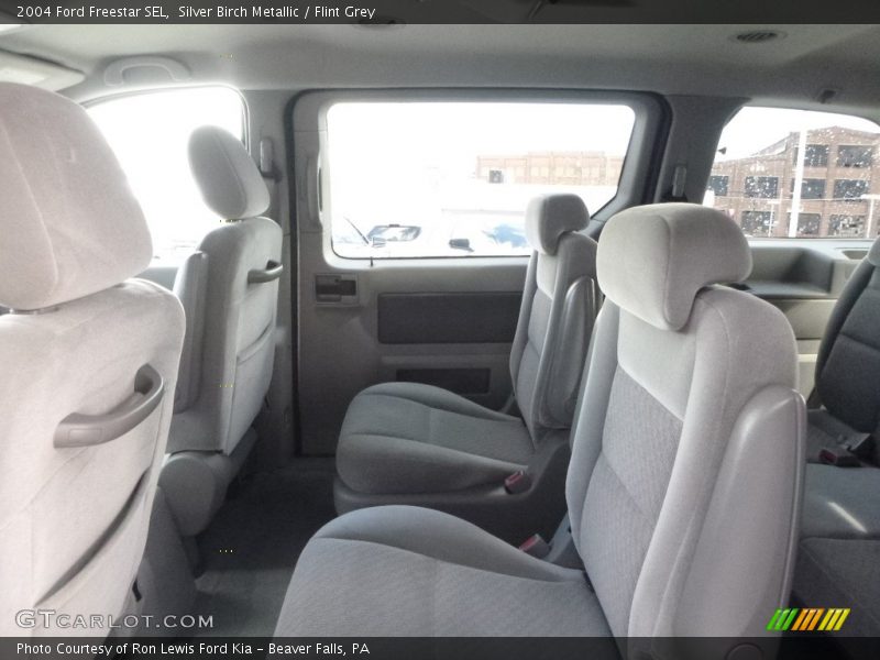 Silver Birch Metallic / Flint Grey 2004 Ford Freestar SEL