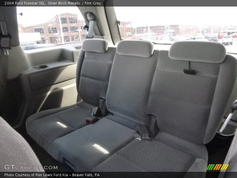 Silver Birch Metallic / Flint Grey 2004 Ford Freestar SEL