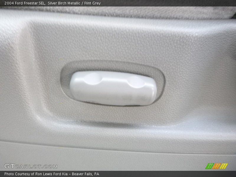 Silver Birch Metallic / Flint Grey 2004 Ford Freestar SEL