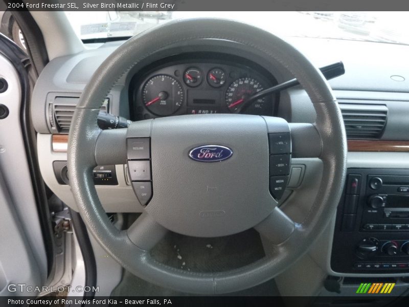 Silver Birch Metallic / Flint Grey 2004 Ford Freestar SEL