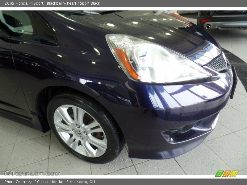 Blackberry Pearl / Sport Black 2009 Honda Fit Sport