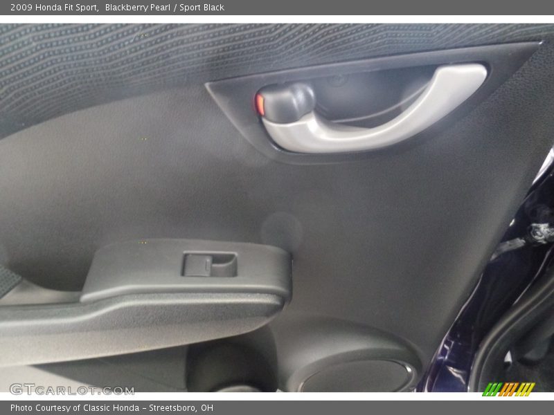 Blackberry Pearl / Sport Black 2009 Honda Fit Sport