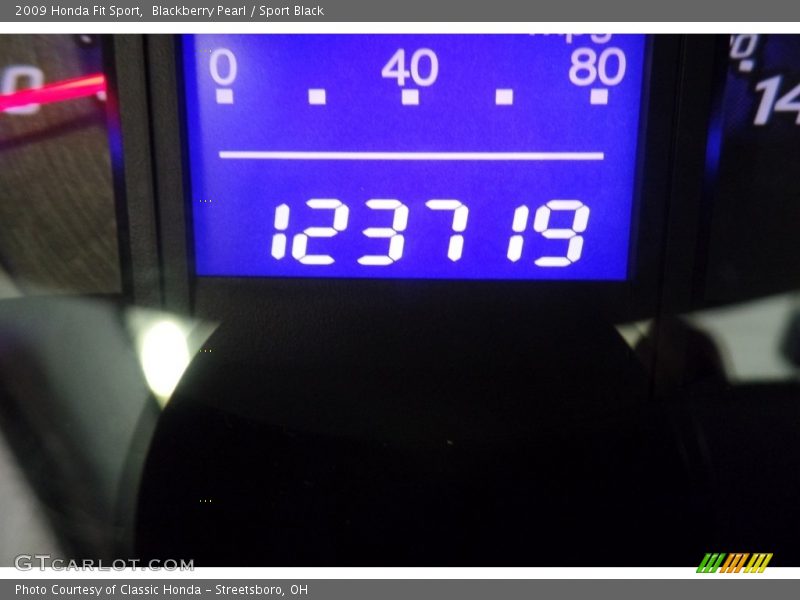 Blackberry Pearl / Sport Black 2009 Honda Fit Sport
