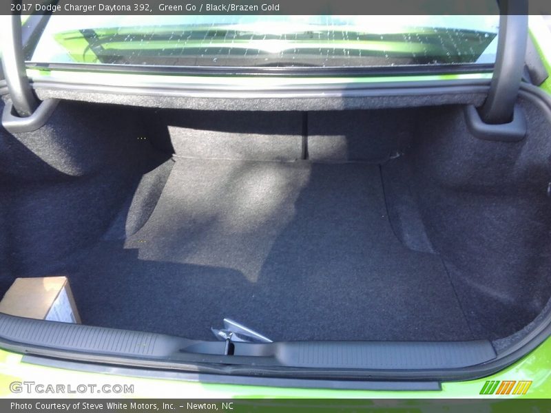 Green Go / Black/Brazen Gold 2017 Dodge Charger Daytona 392