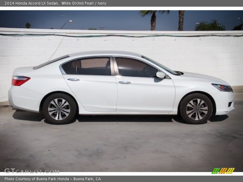 White Orchid Pearl / Ivory 2014 Honda Accord LX Sedan