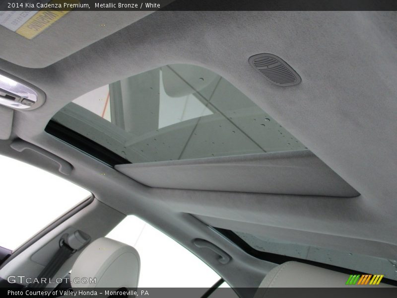 Metallic Bronze / White 2014 Kia Cadenza Premium
