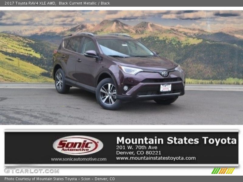 Black Current Metallic / Black 2017 Toyota RAV4 XLE AWD