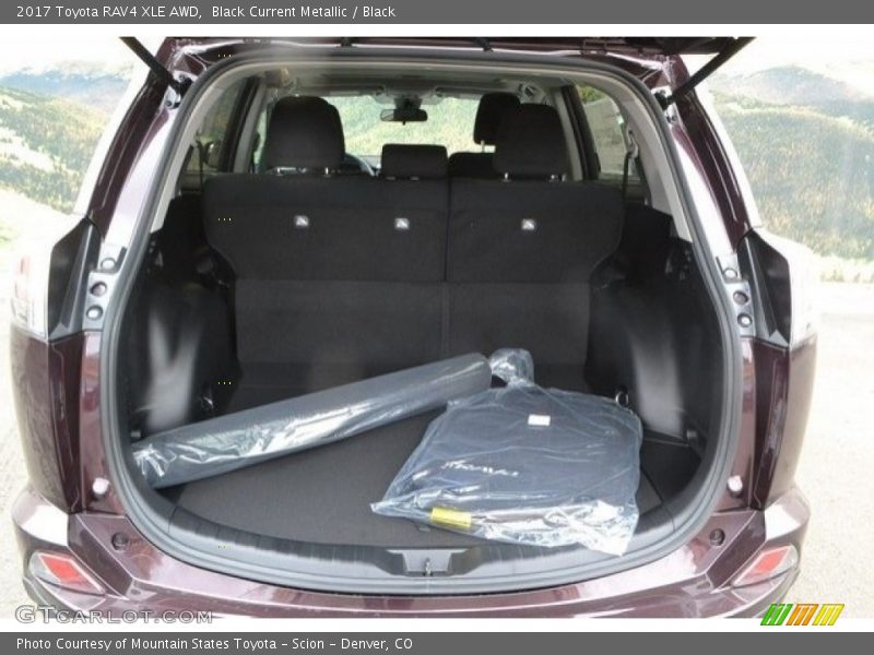 Black Current Metallic / Black 2017 Toyota RAV4 XLE AWD