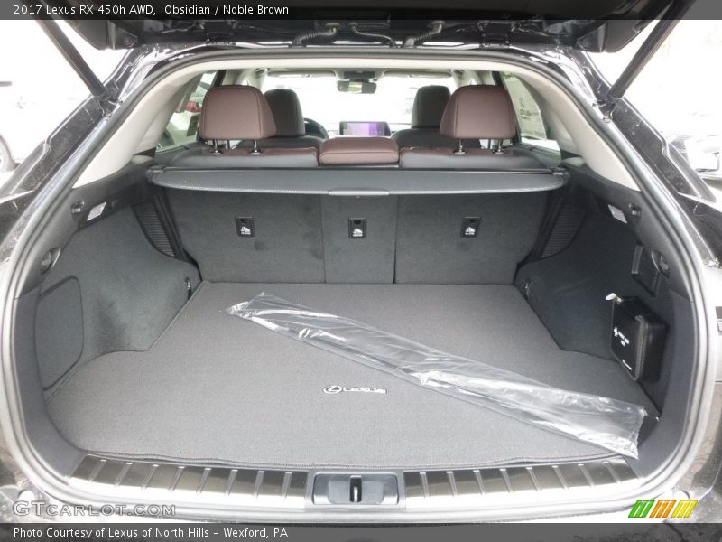  2017 RX 450h AWD Trunk