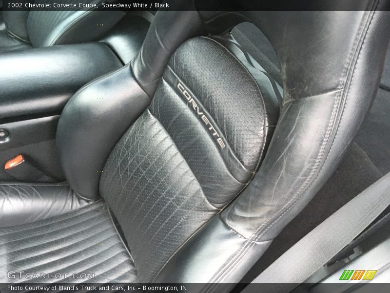 Speedway White / Black 2002 Chevrolet Corvette Coupe