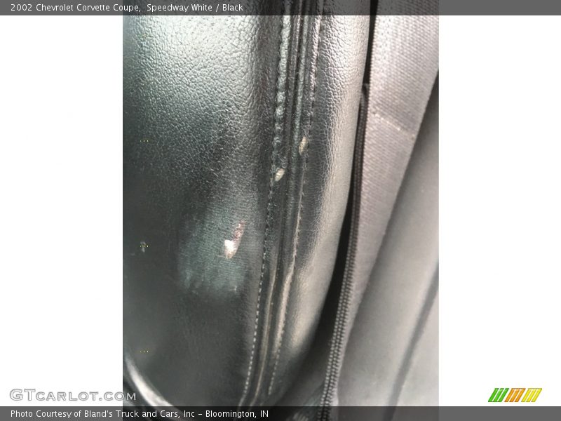 Speedway White / Black 2002 Chevrolet Corvette Coupe
