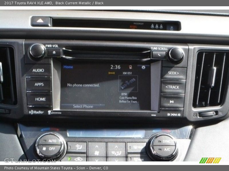 Black Current Metallic / Black 2017 Toyota RAV4 XLE AWD