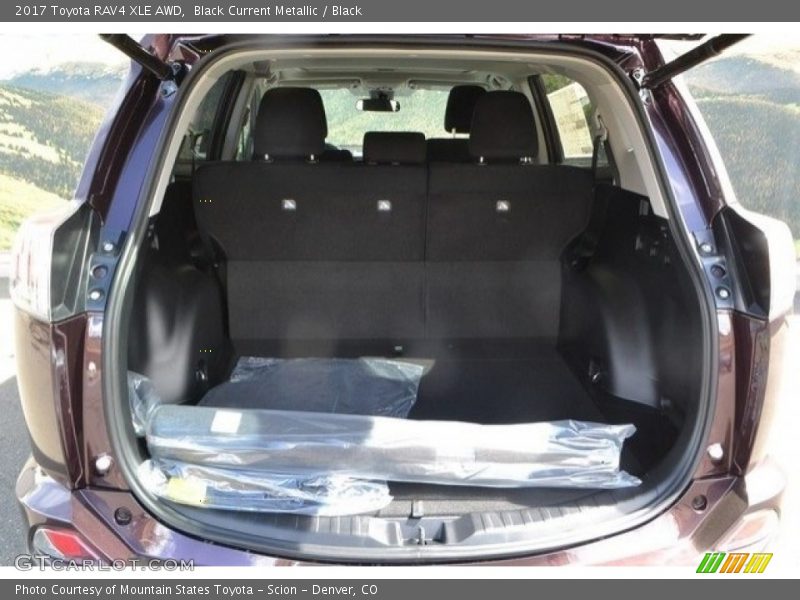 Black Current Metallic / Black 2017 Toyota RAV4 XLE AWD