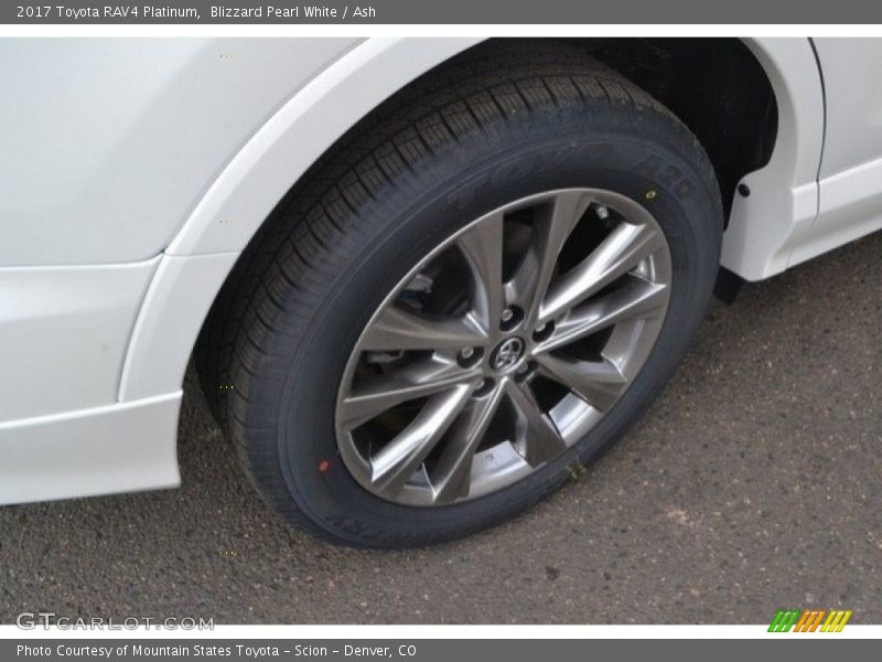 Blizzard Pearl White / Ash 2017 Toyota RAV4 Platinum