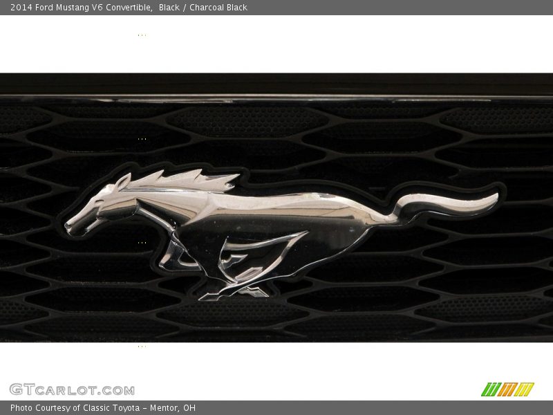Black / Charcoal Black 2014 Ford Mustang V6 Convertible