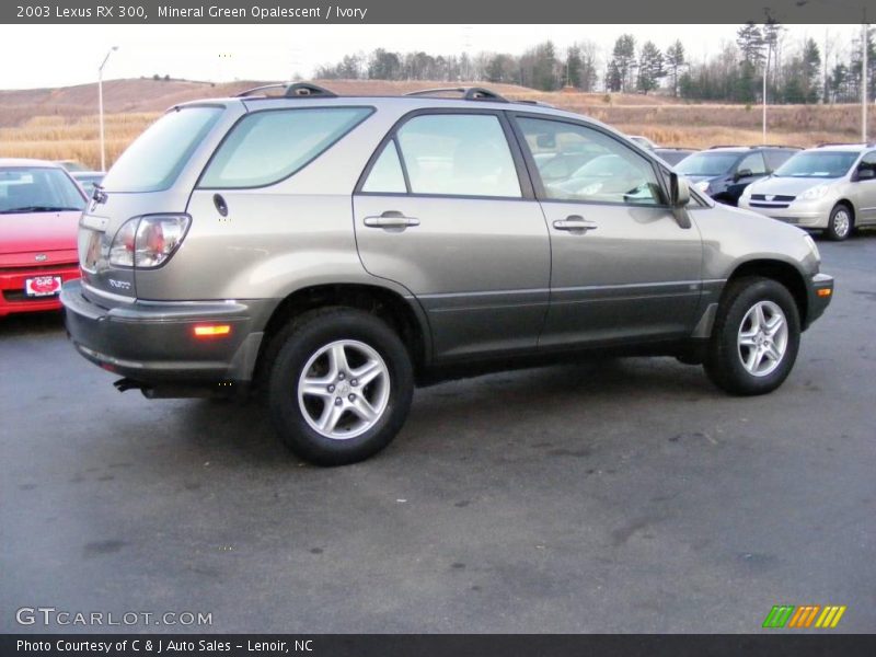 Mineral Green Opalescent / Ivory 2003 Lexus RX 300