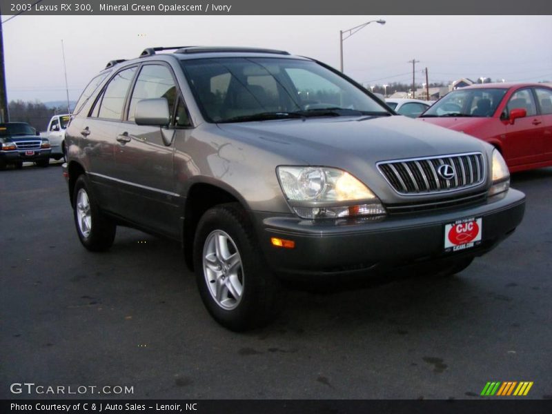 Mineral Green Opalescent / Ivory 2003 Lexus RX 300