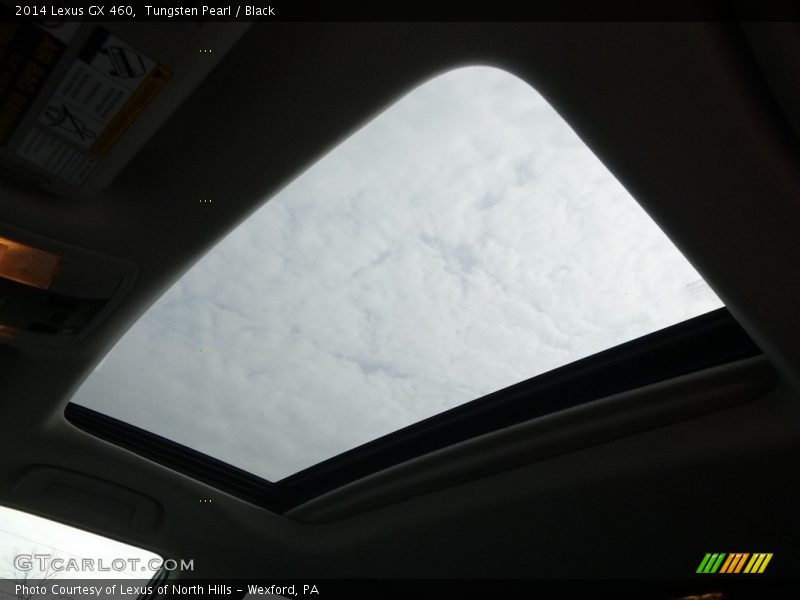 Tungsten Pearl / Black 2014 Lexus GX 460