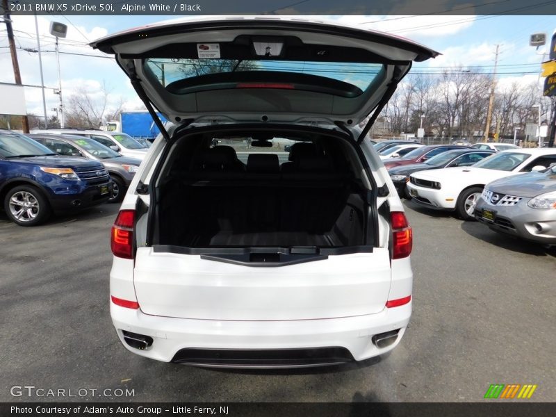 Alpine White / Black 2011 BMW X5 xDrive 50i