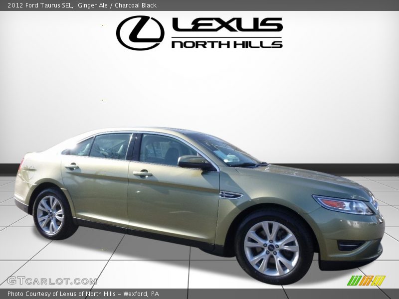 Ginger Ale / Charcoal Black 2012 Ford Taurus SEL