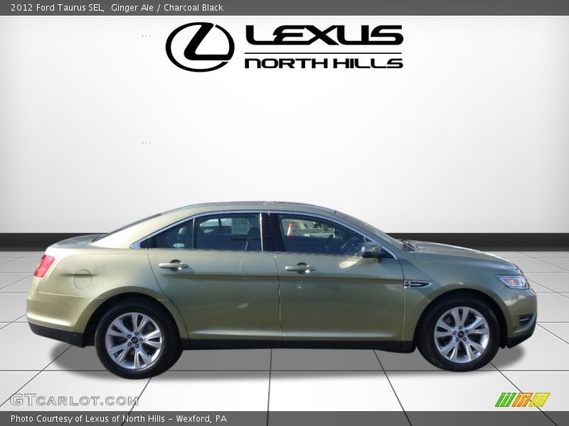 Ginger Ale / Charcoal Black 2012 Ford Taurus SEL