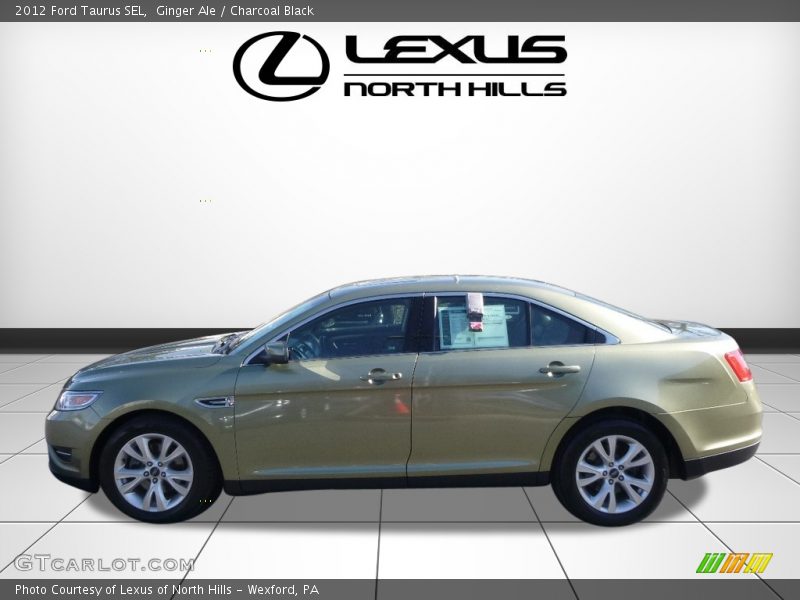 Ginger Ale / Charcoal Black 2012 Ford Taurus SEL