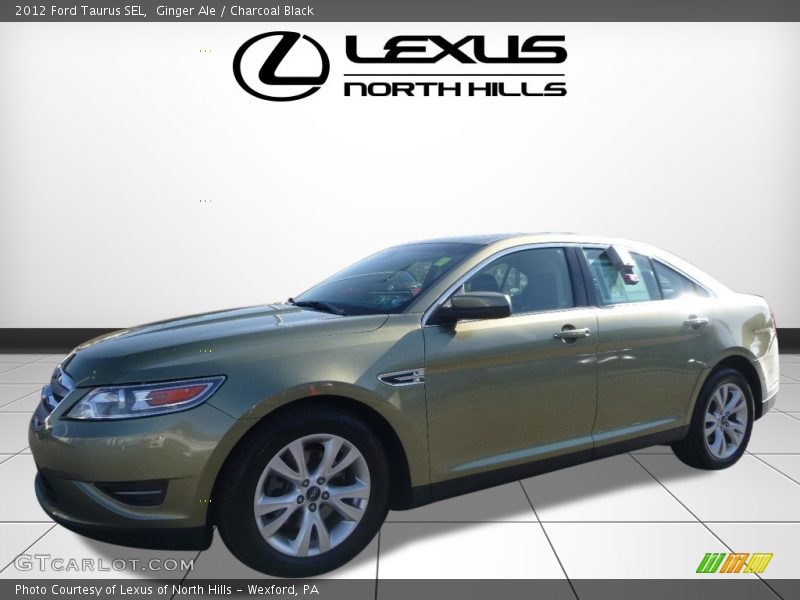 Ginger Ale / Charcoal Black 2012 Ford Taurus SEL