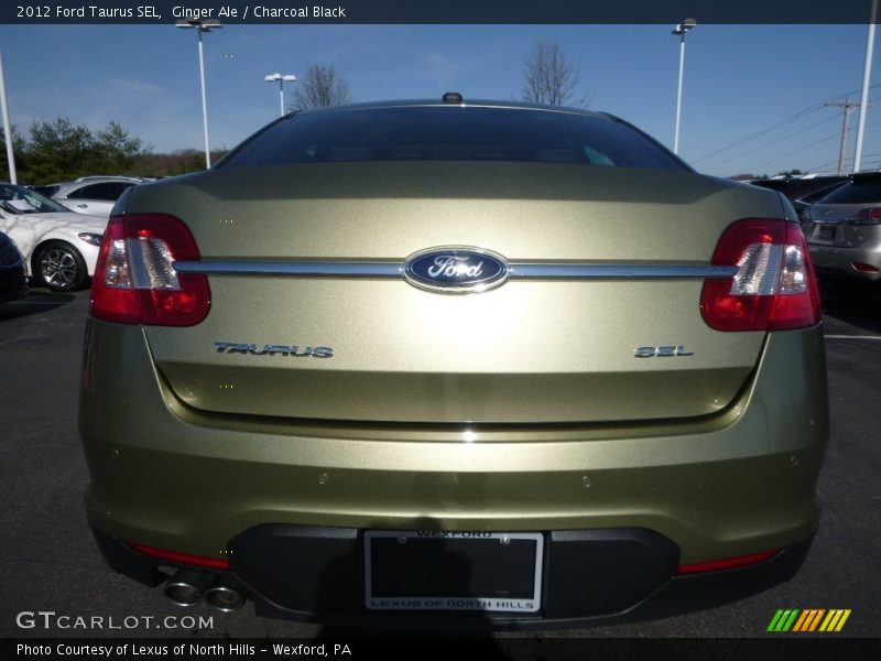 Ginger Ale / Charcoal Black 2012 Ford Taurus SEL