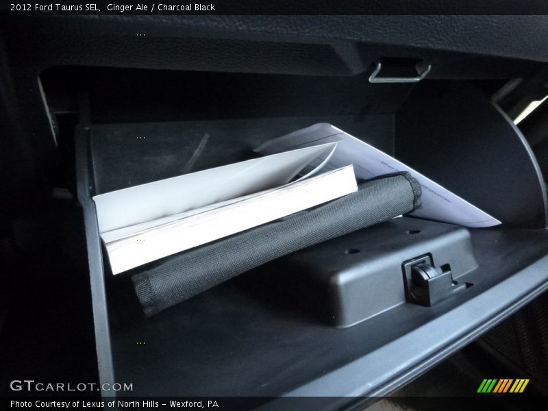 Ginger Ale / Charcoal Black 2012 Ford Taurus SEL