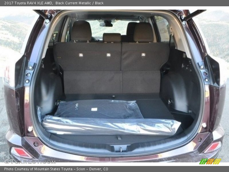Black Current Metallic / Black 2017 Toyota RAV4 XLE AWD