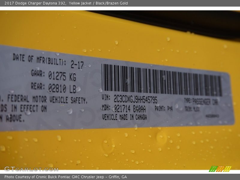 Yellow Jacket / Black/Brazen Gold 2017 Dodge Charger Daytona 392