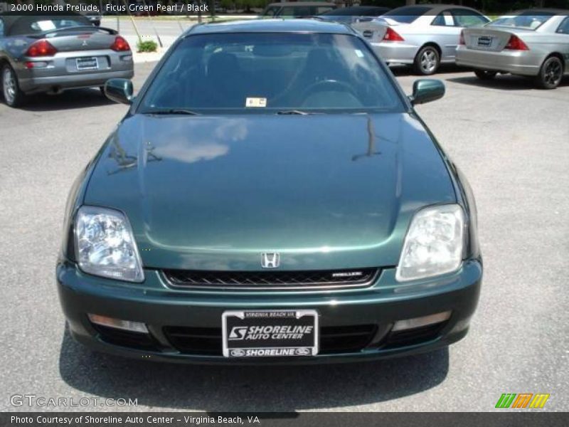 Ficus Green Pearl / Black 2000 Honda Prelude