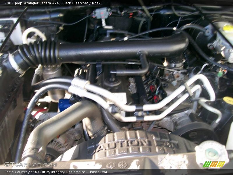 Black Clearcoat / Khaki 2003 Jeep Wrangler Sahara 4x4