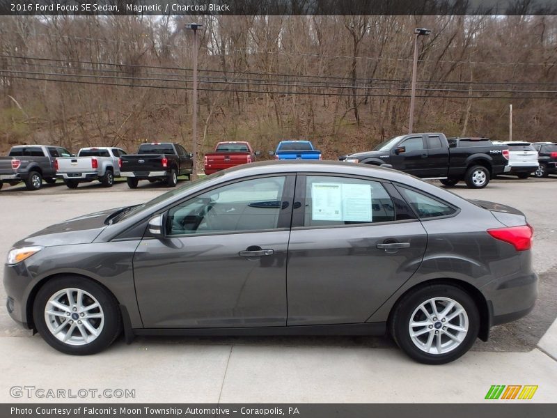 Magnetic / Charcoal Black 2016 Ford Focus SE Sedan
